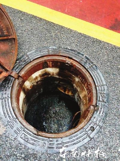 �������ֱ����ˮ��